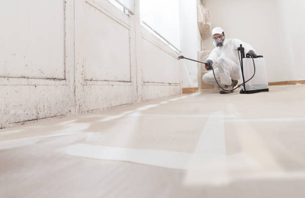 24/7 Emergency Mold Removal experts in Norfolk, VA